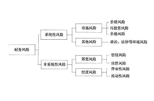 財(cái)務(wù)風(fēng)險(xiǎn)管控存在的問題